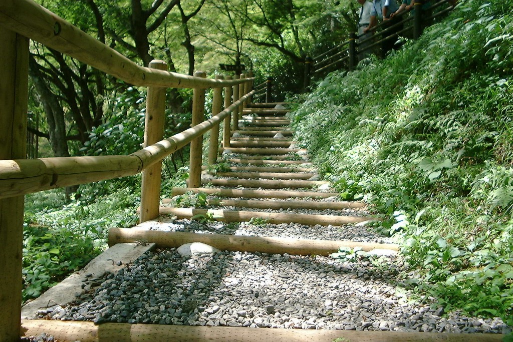 “Treated Bamboo in Japan”